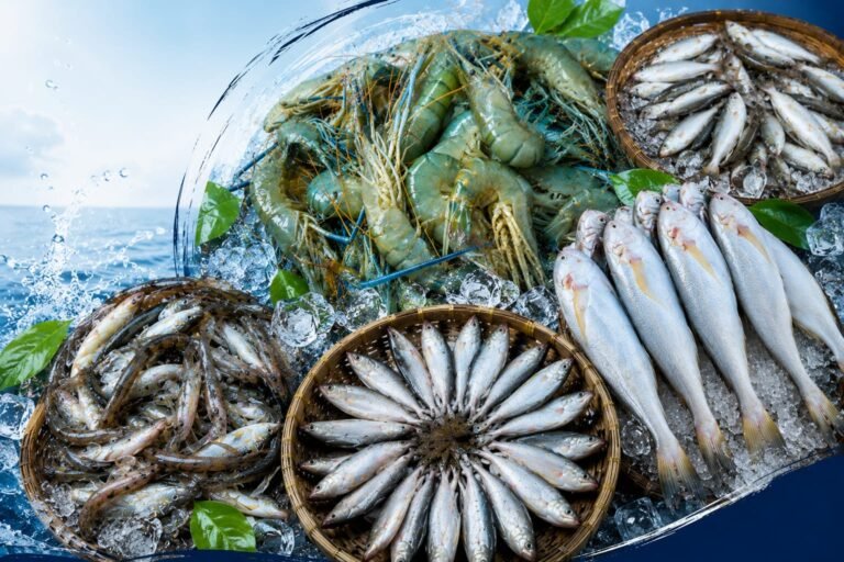 The Right Way to Store Shrimp and Seafood (চিংড়ি ও সামুদ্রিক মাছ সংরক্ষণের সঠিক উপায়)