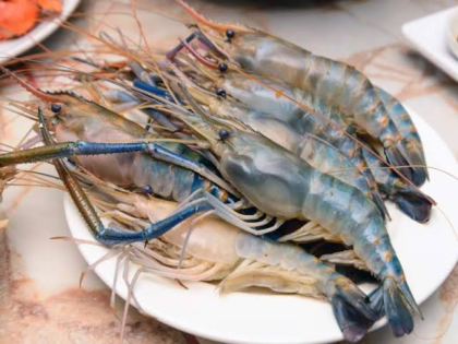 Golda Prawn (গলদা চিংড়ি)