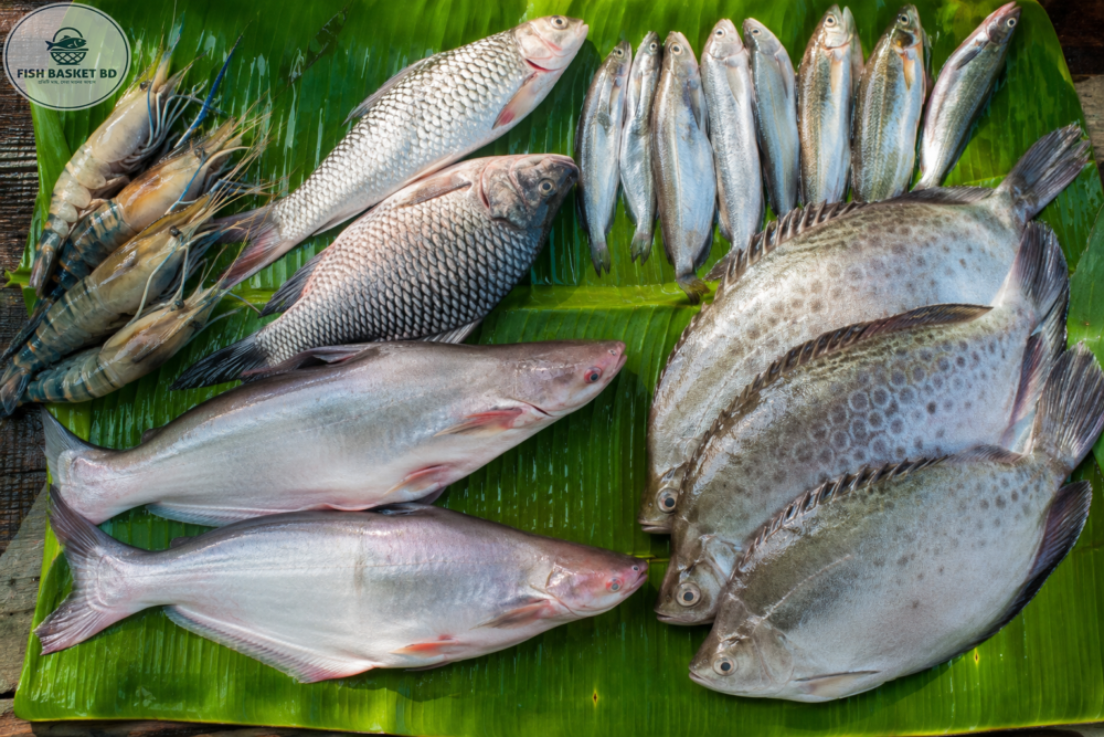 নদীর মাছ
